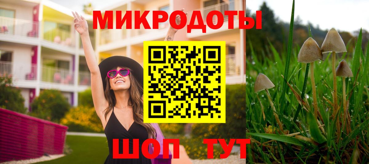 Галлюциногенные грибы Psilocybine cubensis  Вход с VPN  Галлюциногенные грибы Magic Shrooms  Лениногорск 
